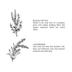 Illustrations of eucalyptus and lavender with descriptive text on a white background