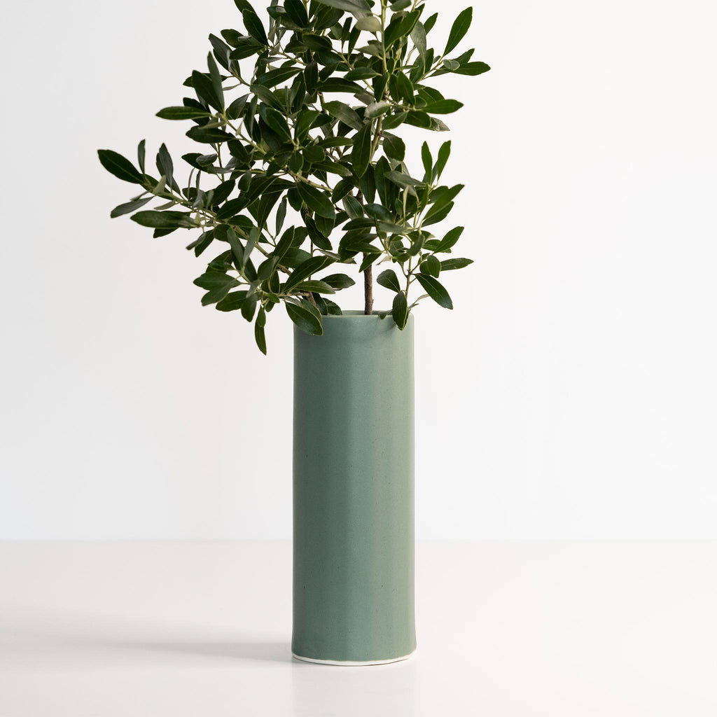 Green vase with a plant on a white background