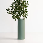 Green vase with a plant on a white background