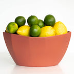 Terracotta bowl filled with lemons and limes on a white background